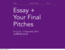 ePub written assignment and pitch details