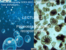 Tools & Insights-7, micropalaeontology 2, palaeo-oceanographic reconstructions