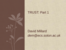 Trust_-_part_1.pptx